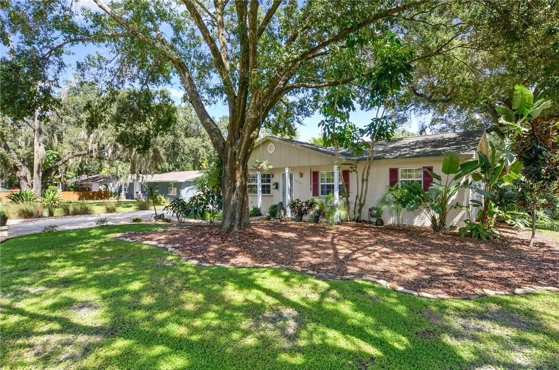 11731 N Ola Ave., Tampa, FL 33612