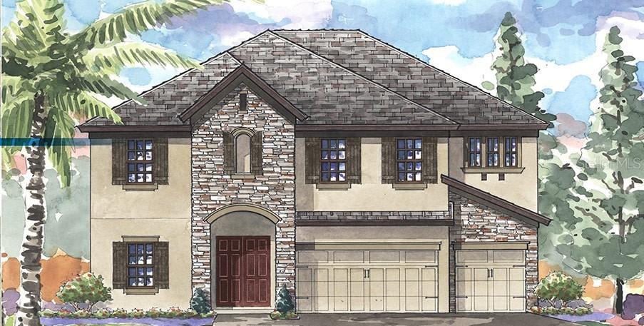 11969 Climbing Fern Ave., Riverview, FL 33579