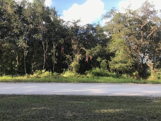 Baylor Ln., Wesley Chapel, FL 33545