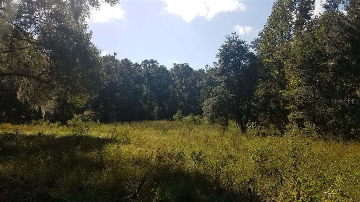 Cedar Tree Dr., Brooksville, FL 34602