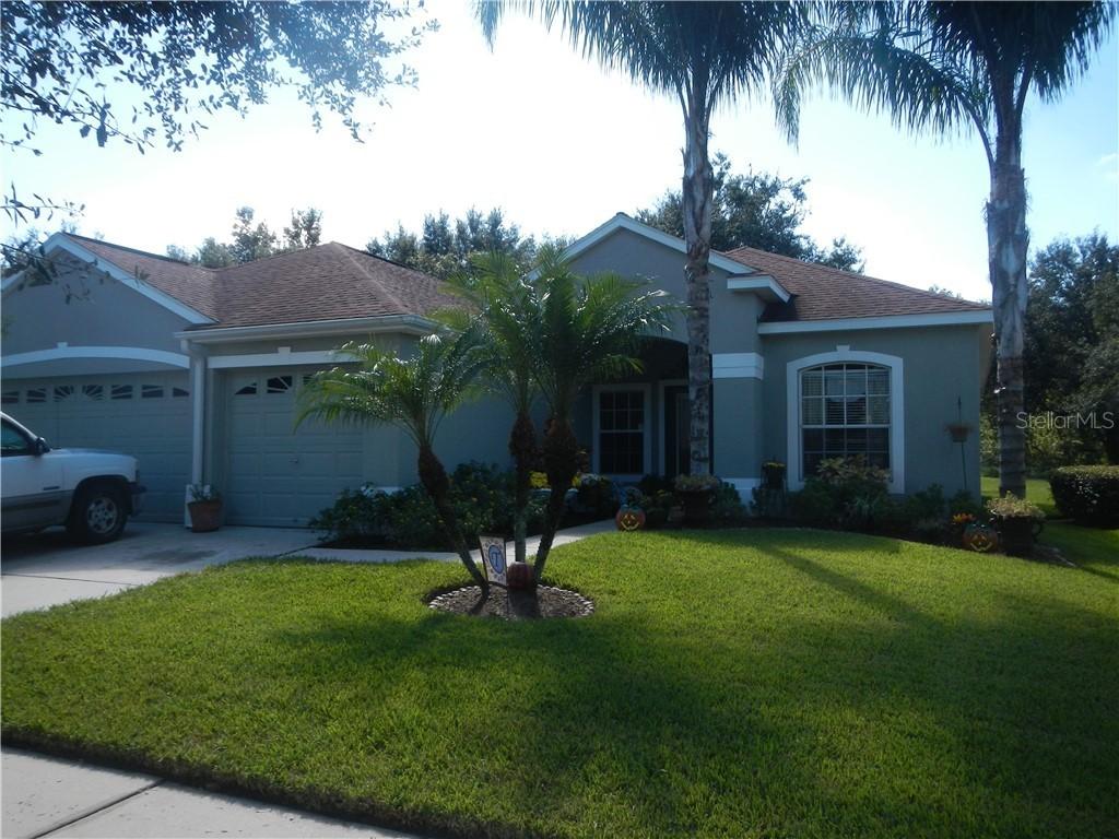 1331 Emerald Hill Way, Valrico, FL 33594