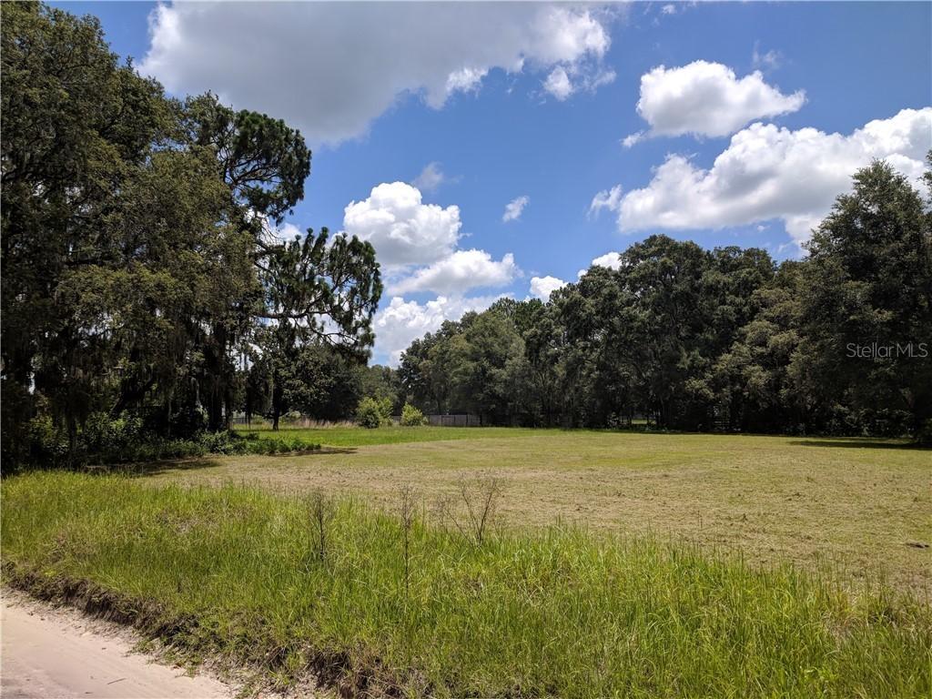 10006 Evanston Ln., San Antonio, FL 33576