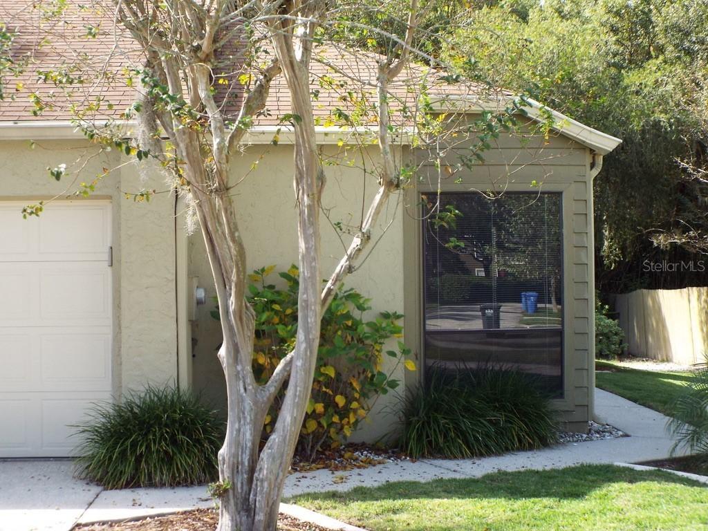 11430 Galleria Dr., Tampa, FL 33618