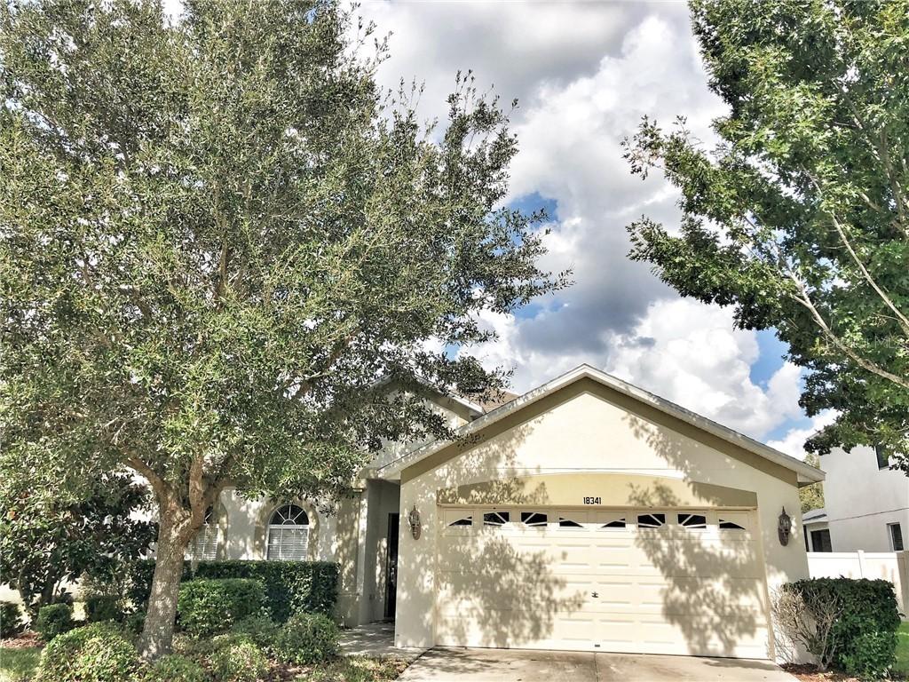 18341 Dajana Ave., Land O Lakes, FL 34638