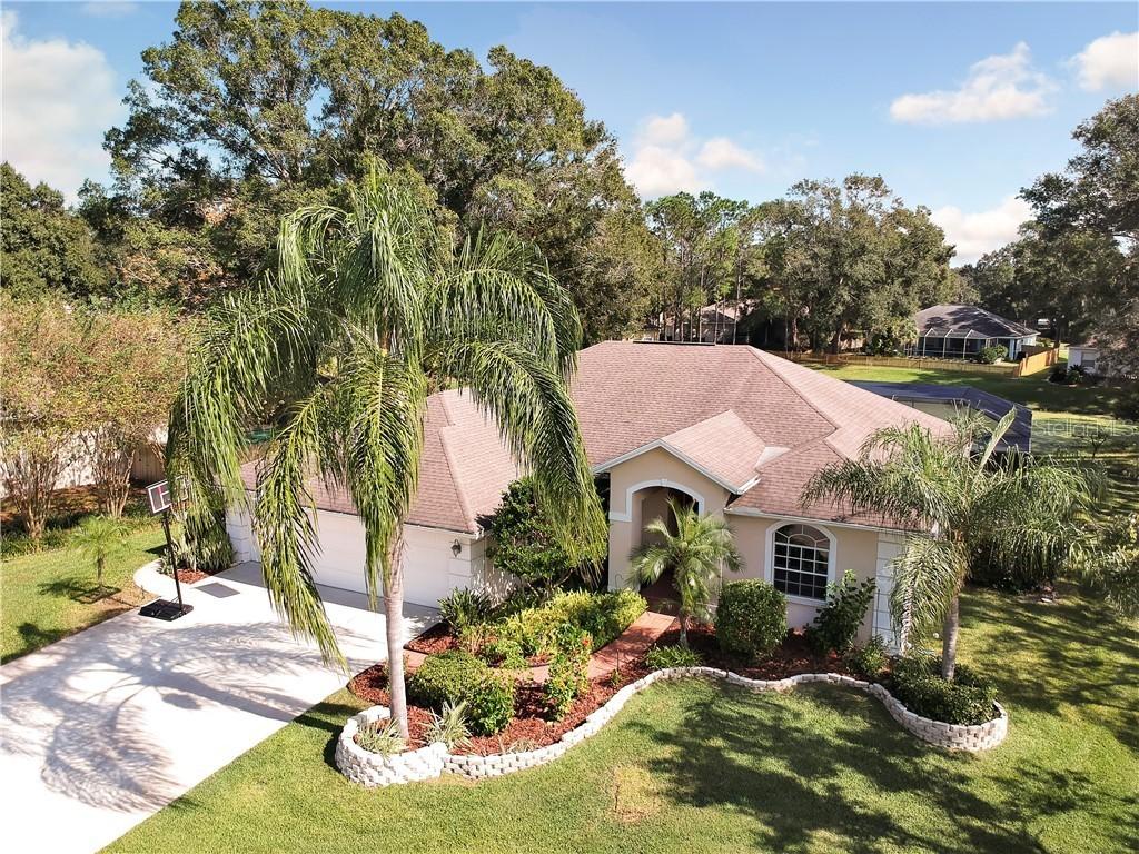 16901 Raven Ridge Pl., Lutz, FL 33549