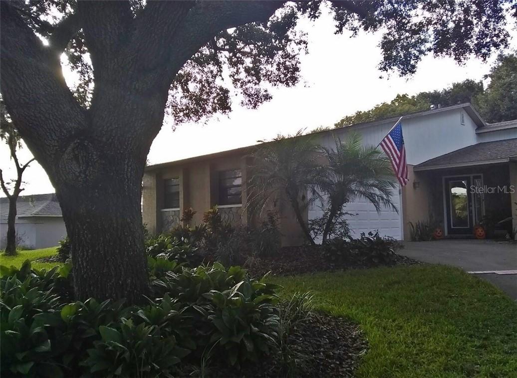 3807 Lake Joyce Dr., Land O Lakes, FL 34639