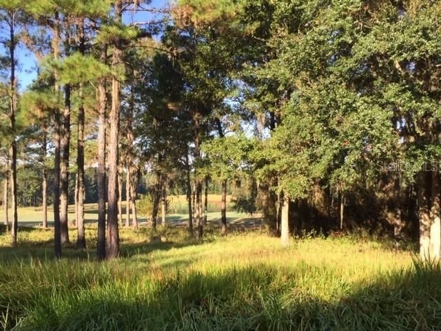 5033 Majestic Hills Loop, Brooksville, FL 34601
