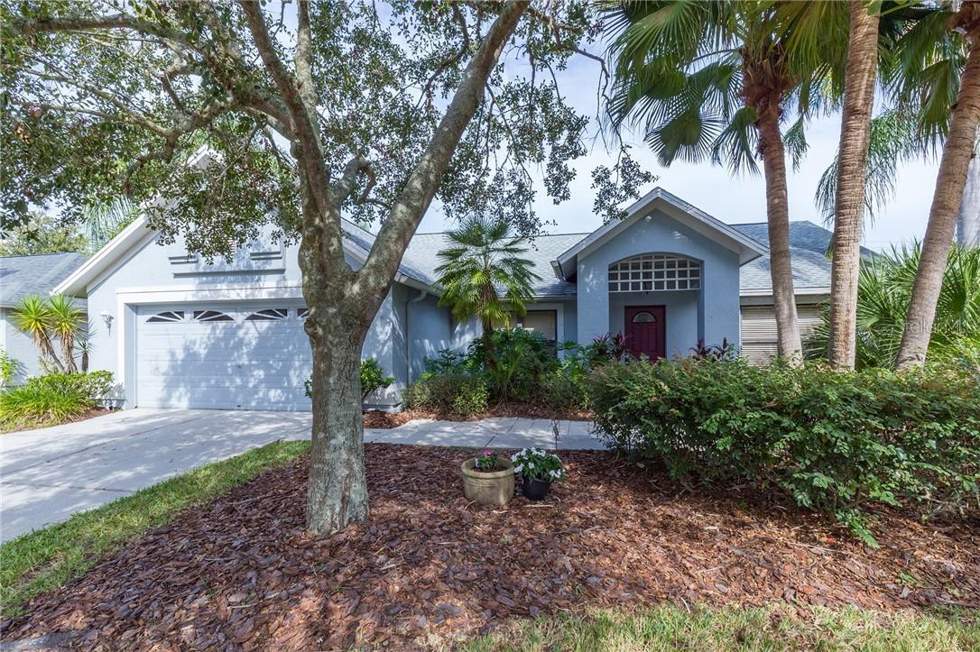 9220 Dayflower Dr., Tampa, FL 33647