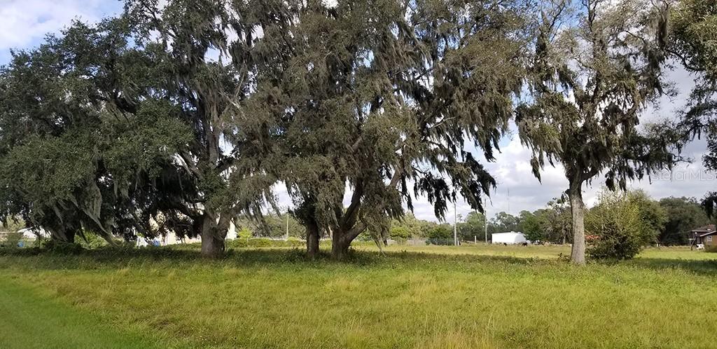 2740 Sydney Crossings Way, Plant City, FL 33566