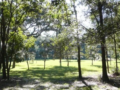 11231 Saviors Way, Brooksville, FL 34601