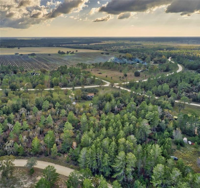 NE 133rd Ter., Williston, FL 32696