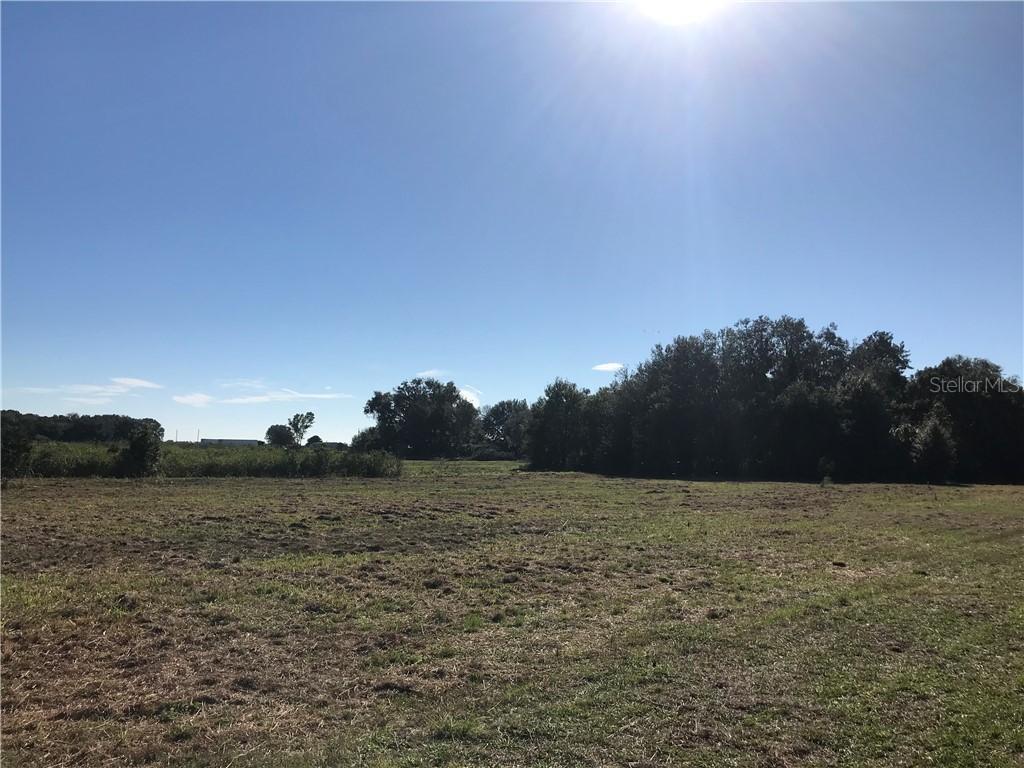 Cr 672, Lithia, FL 33547