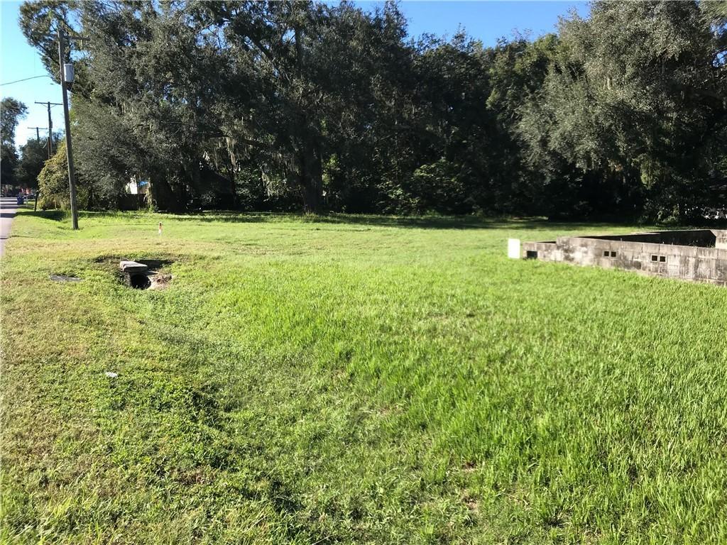 230 Mason St, Brandon, FL 33511