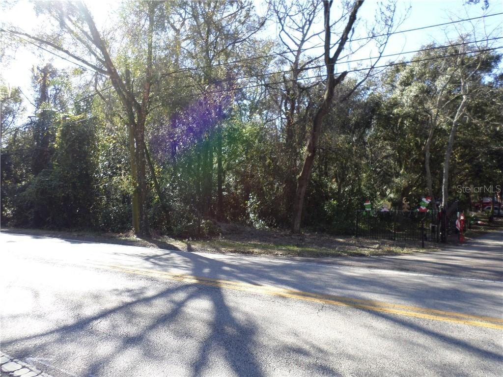 Livingston Ave., Lutz, FL 33549