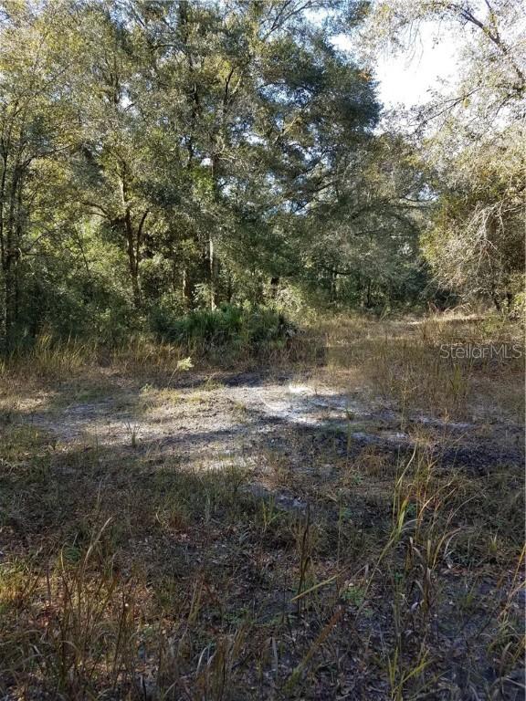 6839 Lumberton Road, Zephyrhills, FL 33540