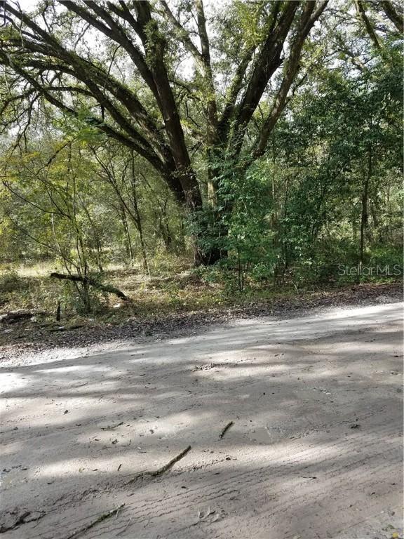 Lumberton Road, Zephyrhills, FL 33540