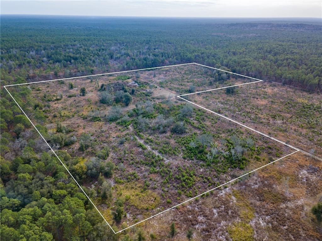 Papillon Tr., Brooksville, FL 34601