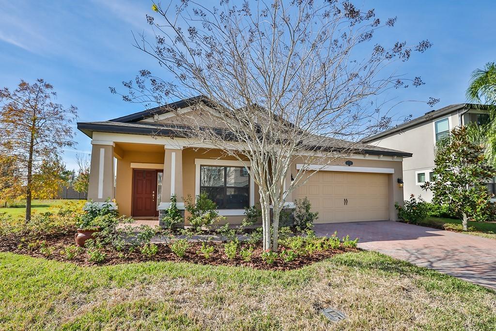 1732 Fox Grape Loop, Lutz, FL 33558