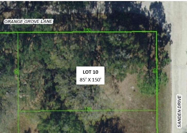30312 Orange Grove Ln. #Lot 10, Wesley Chapel, FL 33545