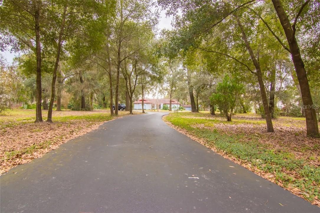 427 W Windhorst Rd., Brandon, FL 33510