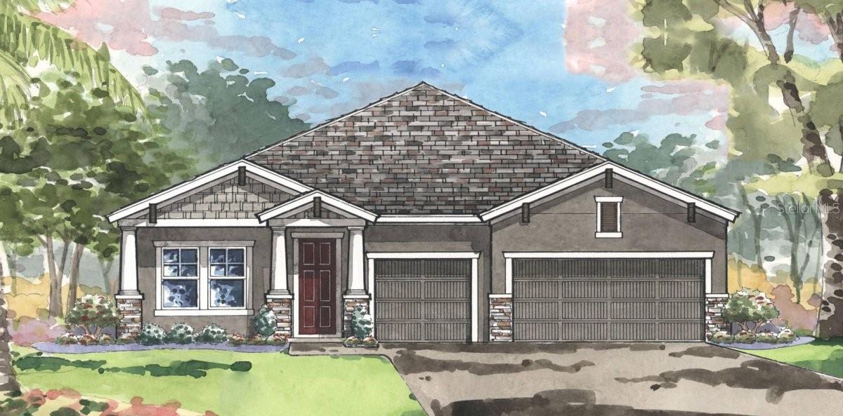 8130 Water Color Dr., Land O Lakes, FL 34638