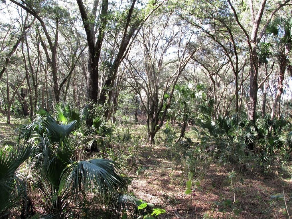 10503 Patterdale Tr., Thonotosassa, FL 33592