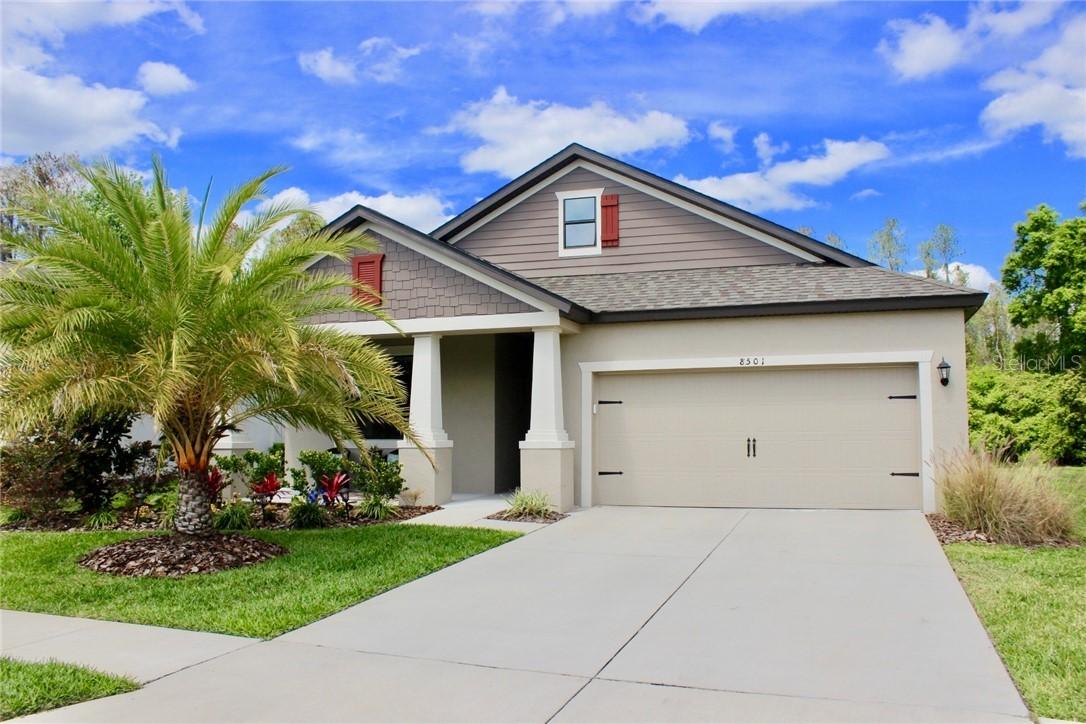 8501 May Port Ct., Land O Lakes, FL 34638