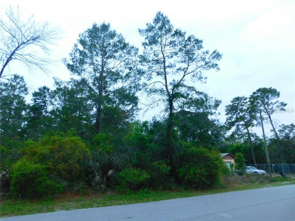 8393 Boyce St., Spring Hill, FL 34606