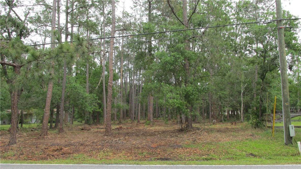 6848 Quail Hollow Blvd., Wesley Chapel, FL 33544