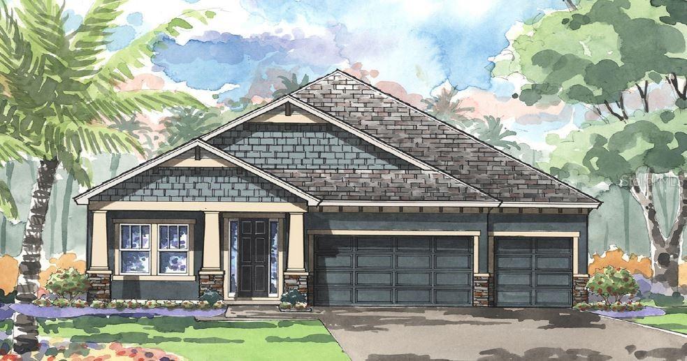 8156 Water Color Dr., Land O Lakes, FL 34638