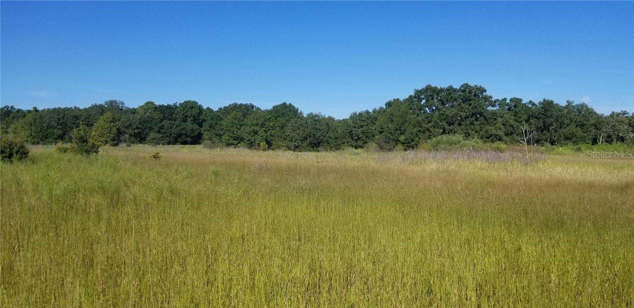 12425 Morgan Rd., Hudson, FL 34669