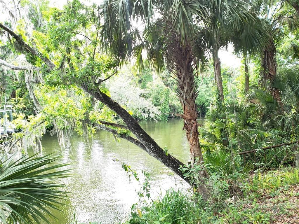 4146 Alafia Blvd., Brandon, FL 33511