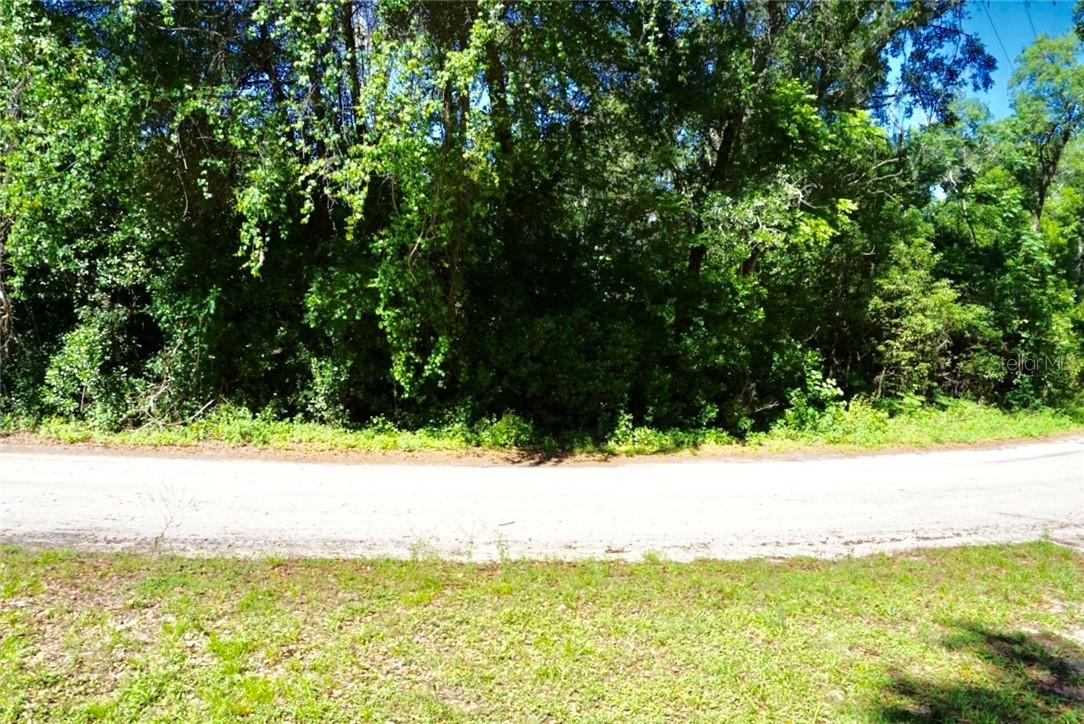 20550 Robbins Rd., Dade City, FL 33523