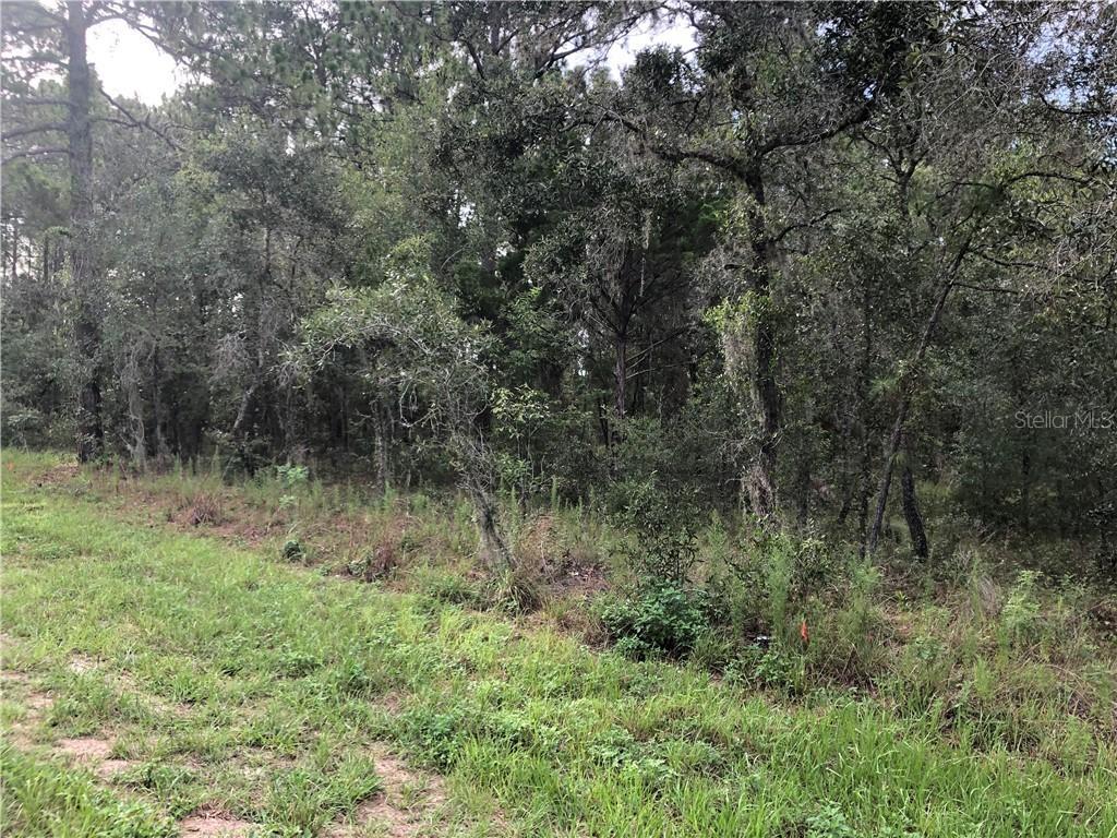 15978 Oakcrest Cir., Brooksville, FL 34604