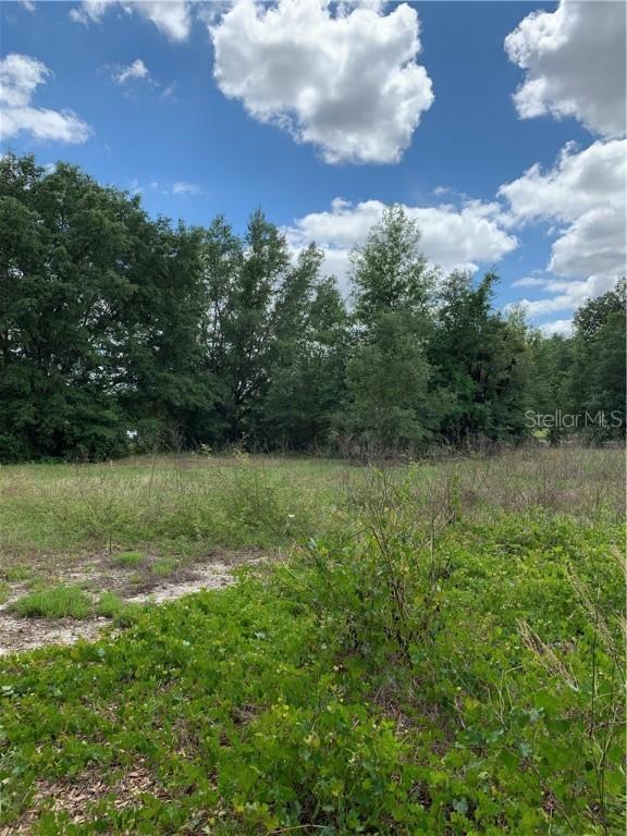 Prospect St., Groveland, FL 34736