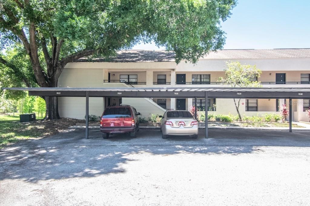 7824 Niagara Ave. #321, Tampa, FL 33617