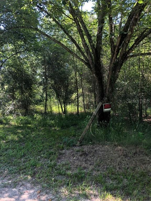 34425 Tannahill St., Dade City, FL 33523