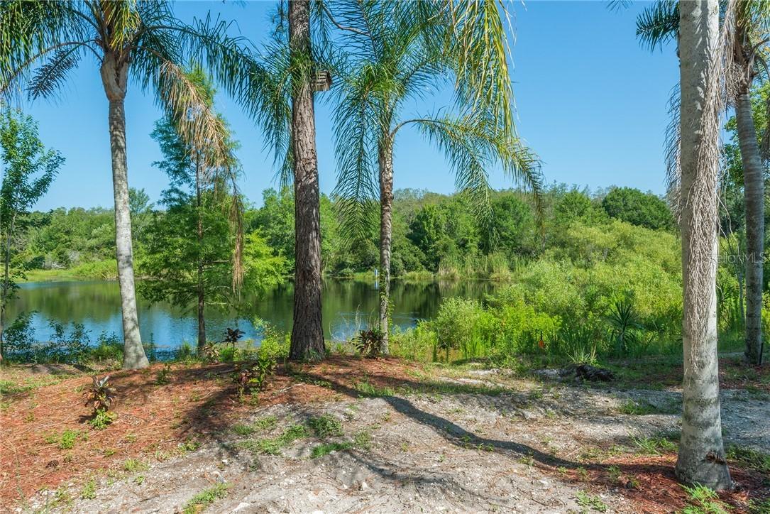 14824 N 19th St., Lutz, FL 33549