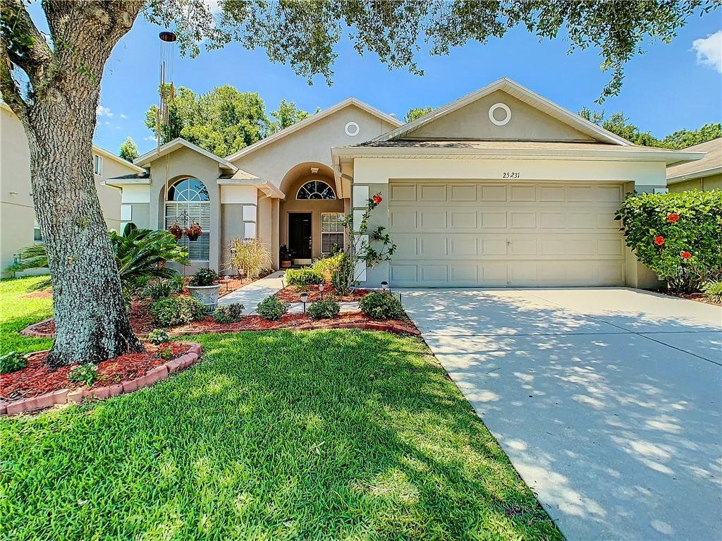 25231 Geddy Dr., Land O Lakes, FL 34639
