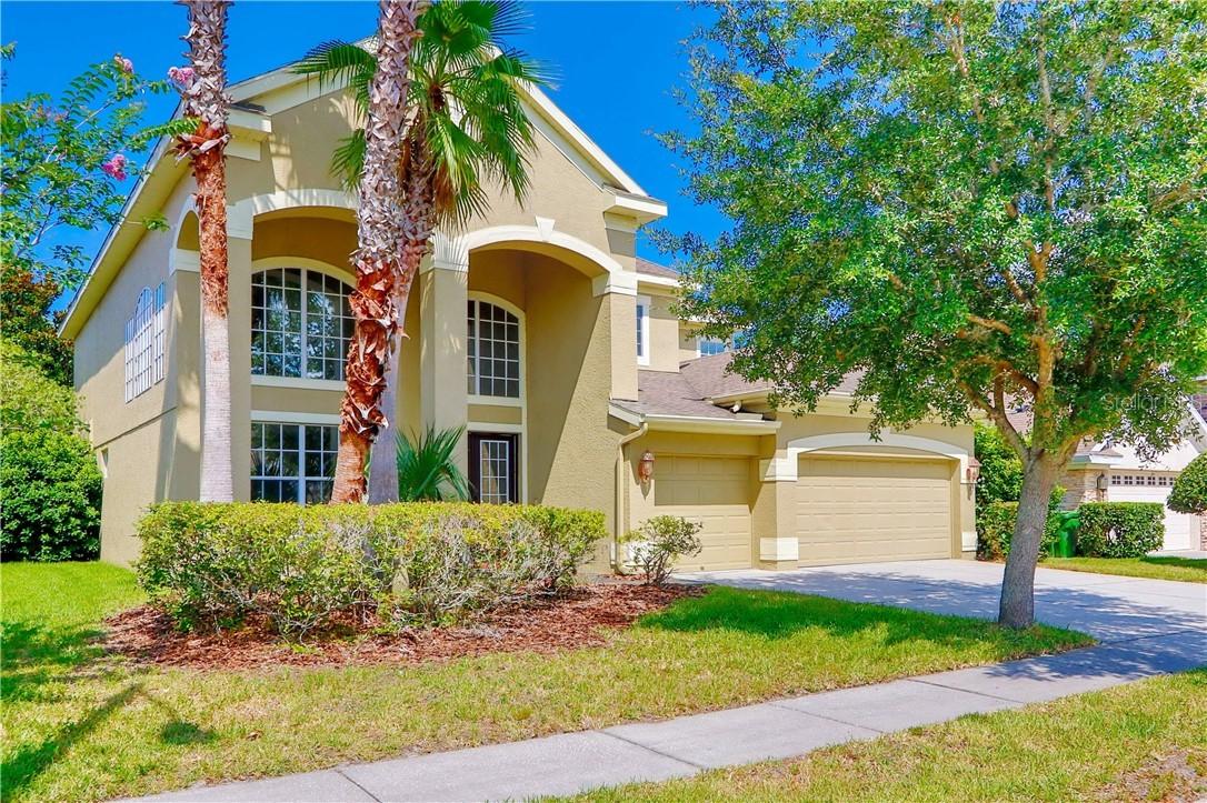 3606 Valencia Cove Ct., Land O Lakes, FL 34639