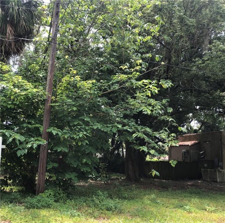 9319 N 17th St., Tampa, FL 33612