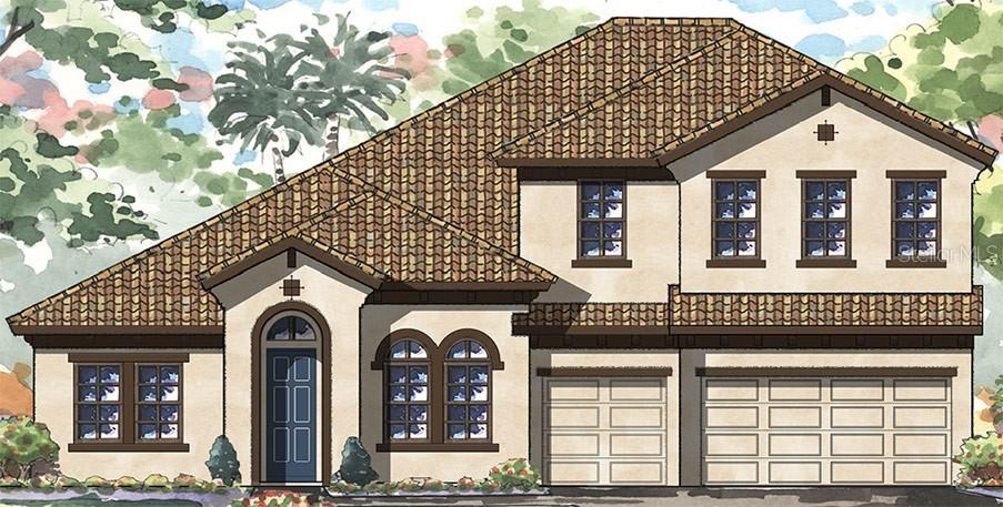 4503 Night Star Tr., Odessa, FL 33556