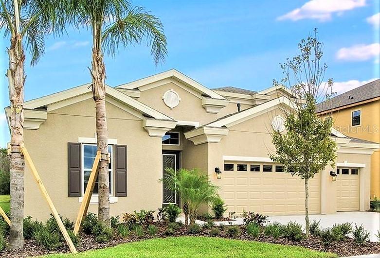 8430 Eagle Brook Dr., Land O Lakes, FL 34638