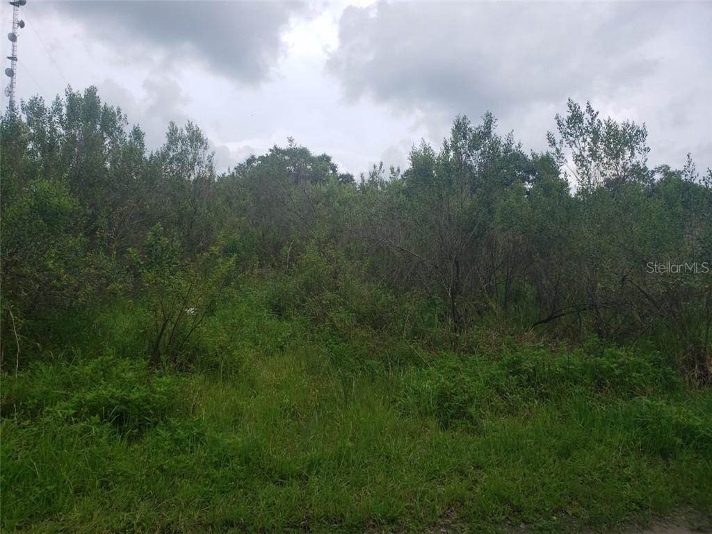 1021 Grant Rd., Zephyrhills, FL 33540