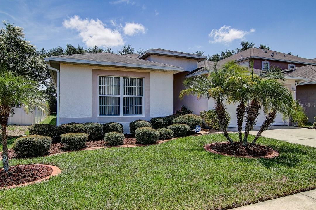 2716 Mingo Dr., Land O Lakes, FL 34638