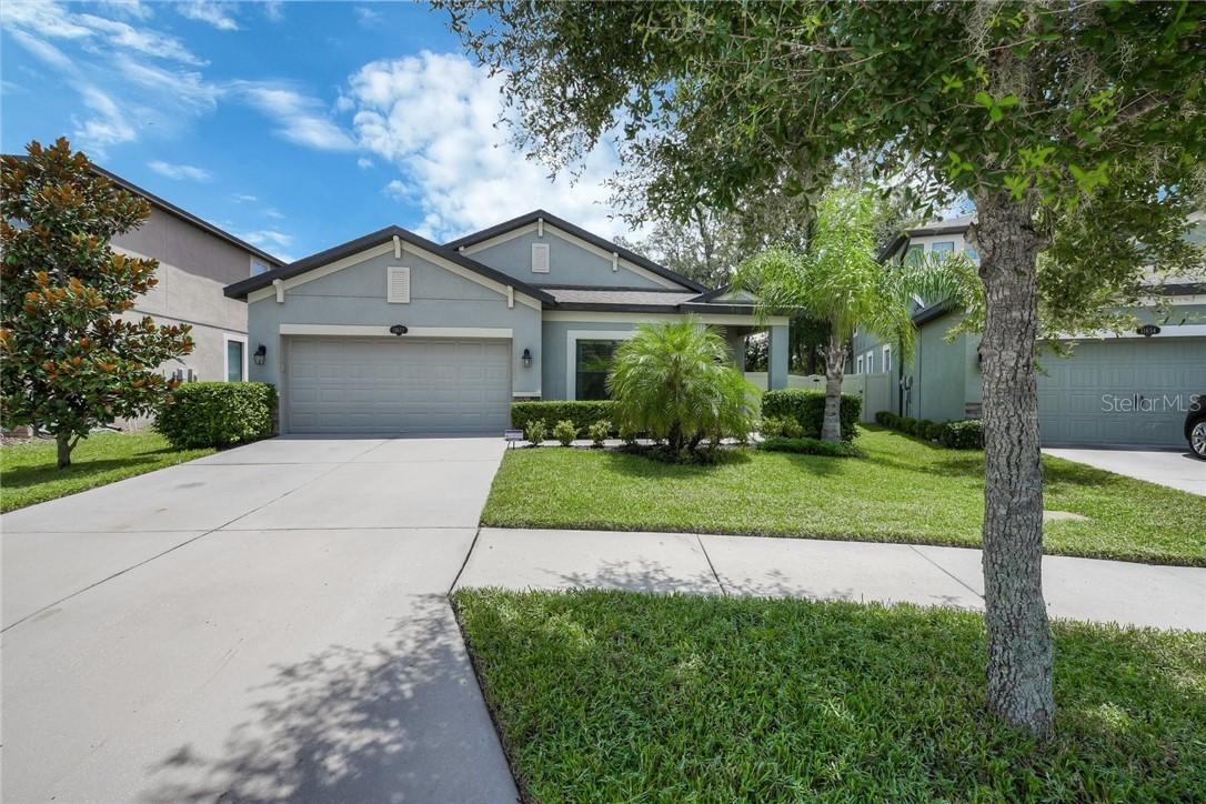 11652 Palmetto Pine St., Riverview, FL 33569