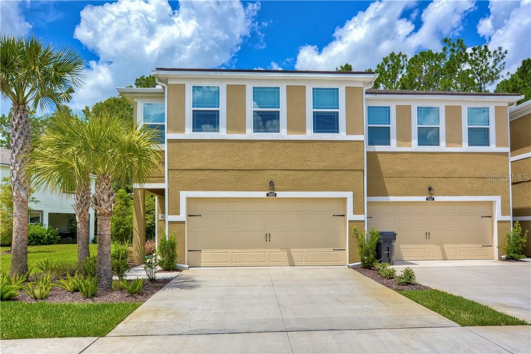 17850 Althea Blue Pl., Lutz, FL 33558