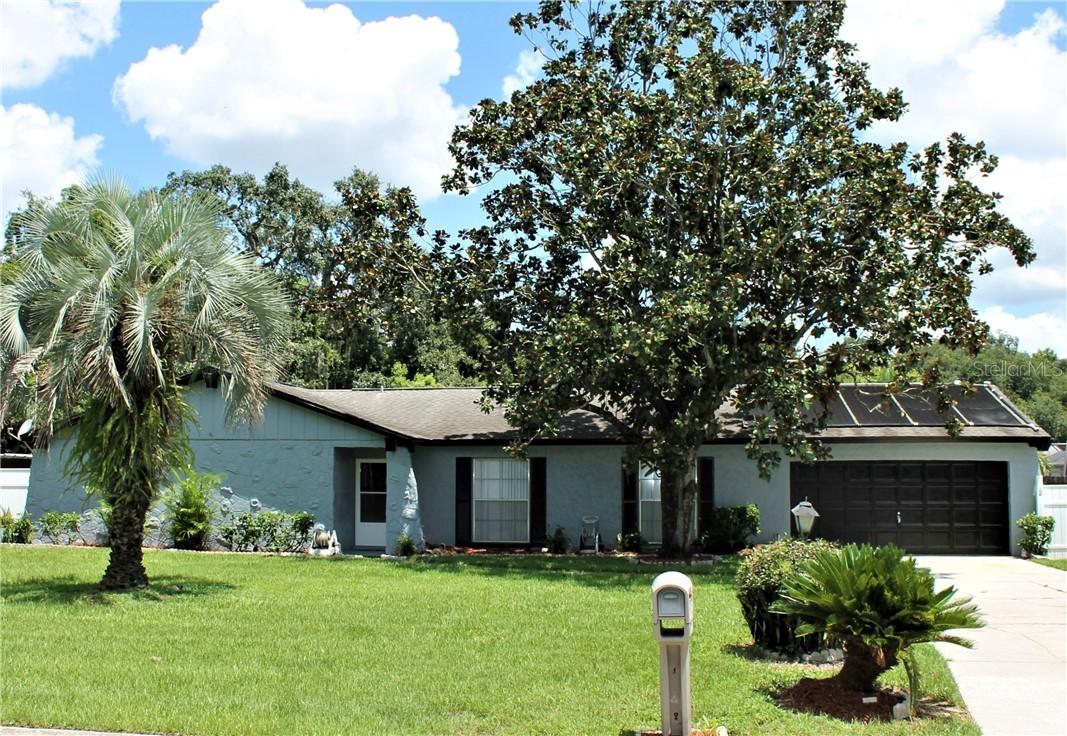 1110 Lady Elaine Dr., Valrico, FL 33594