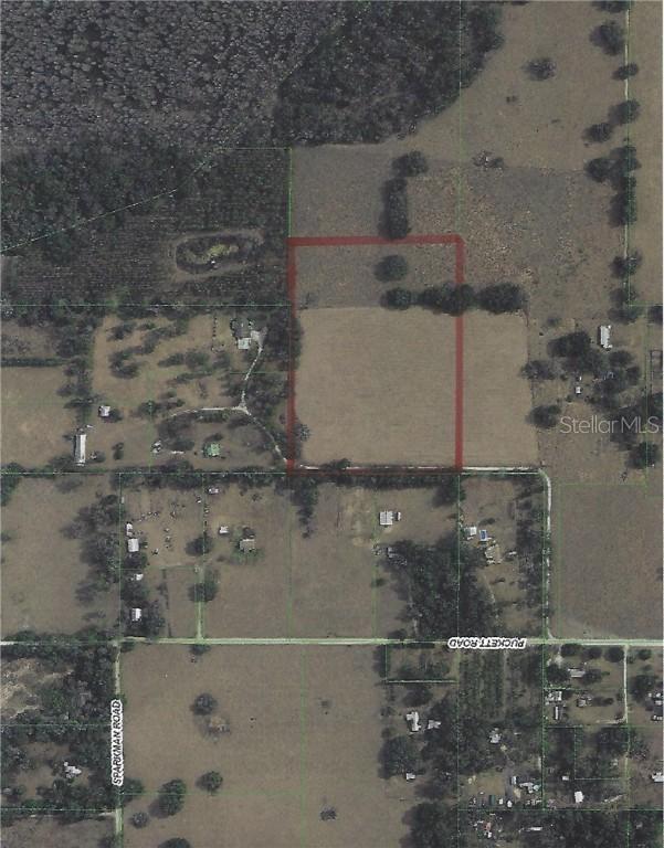 Puckett Rd., Dade City, FL 33525
