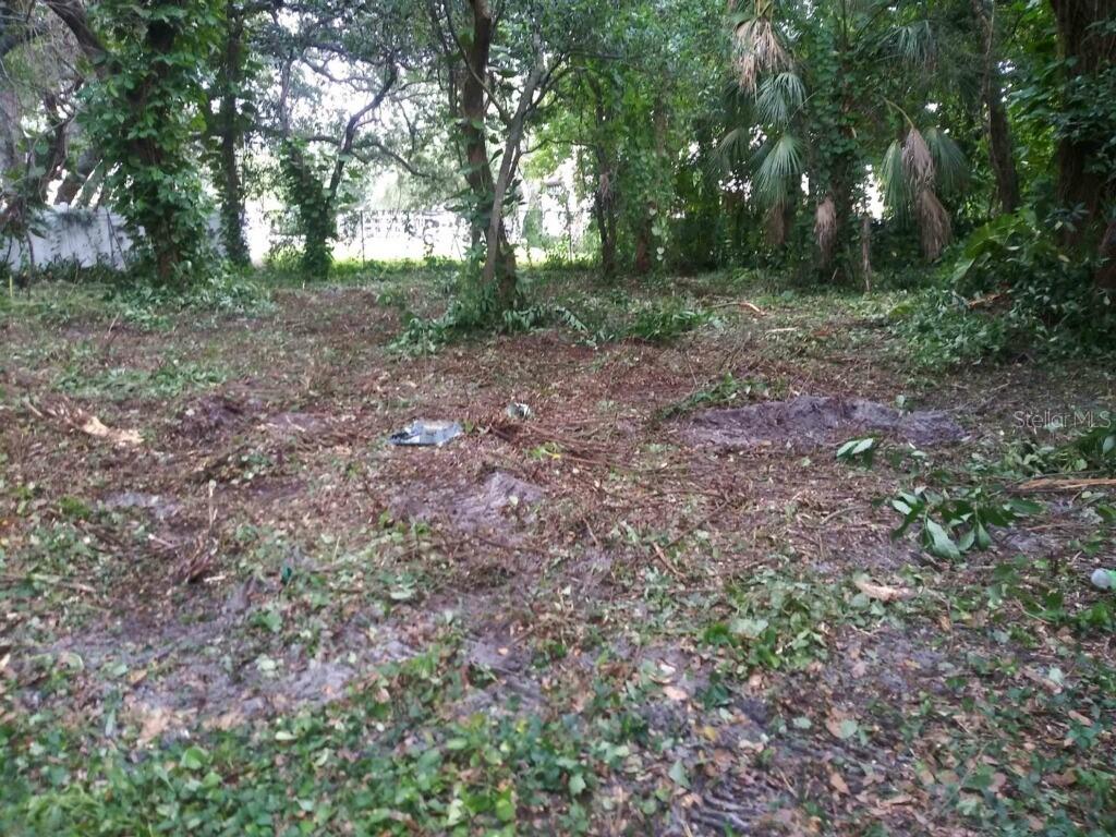 2708 W Thornton Ave., Tampa, FL 33611